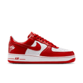 Men's Air Force 1 Low X Terror Squad
