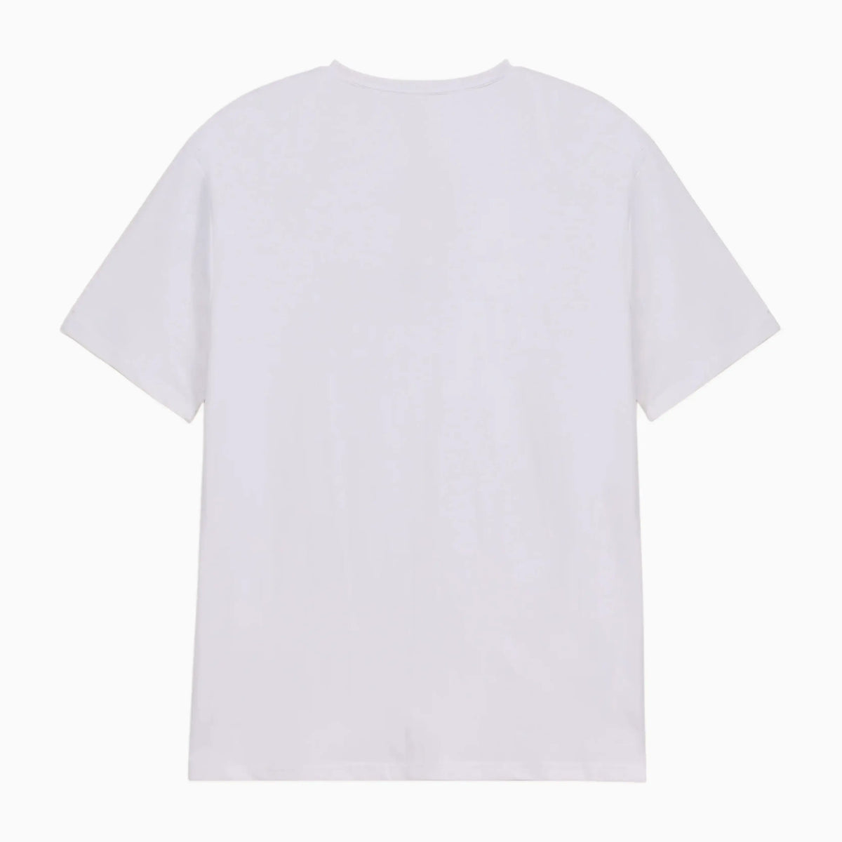 Men's Classic Regular Fit Pack of 2 T-Shirts