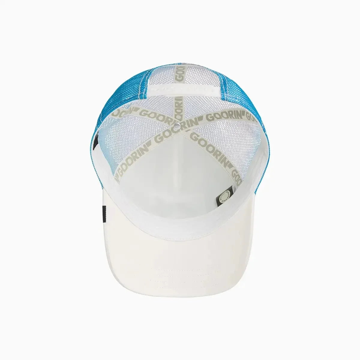 Casquette trucker "Dauphin dans son élément"