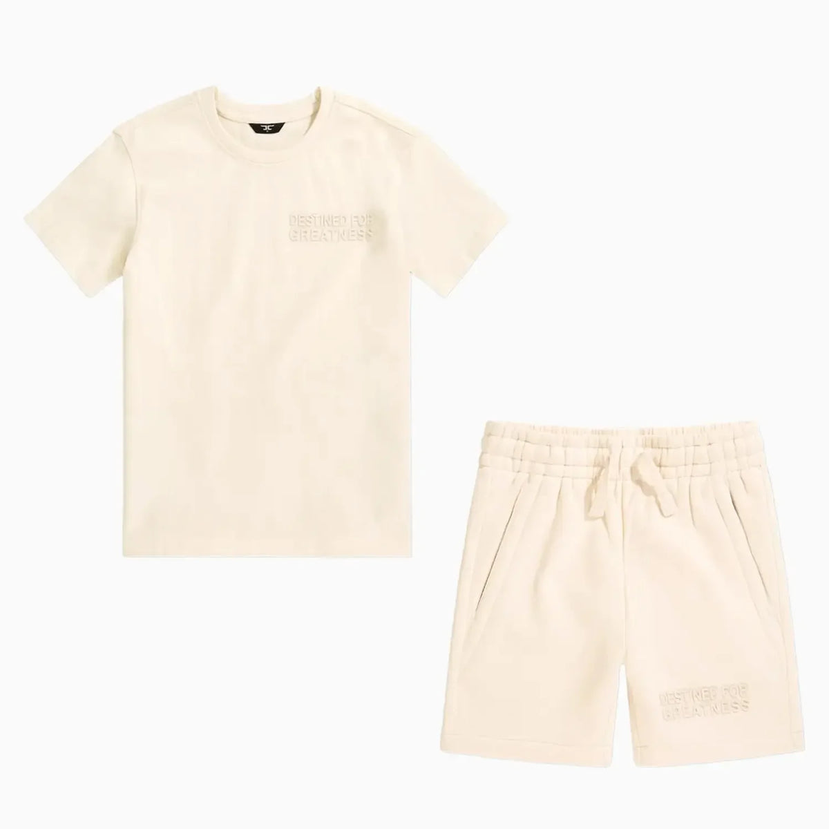 Kid's Destined For Greatness T-Shirt and Shorts Outfit