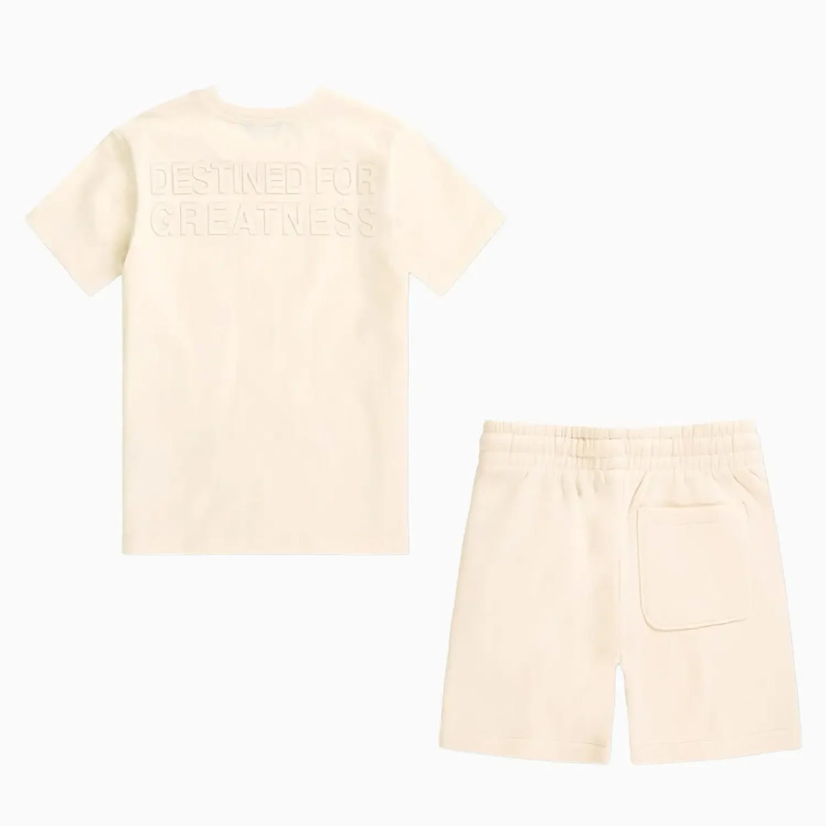 Kid's Destined For Greatness T-Shirt and Shorts Outfit