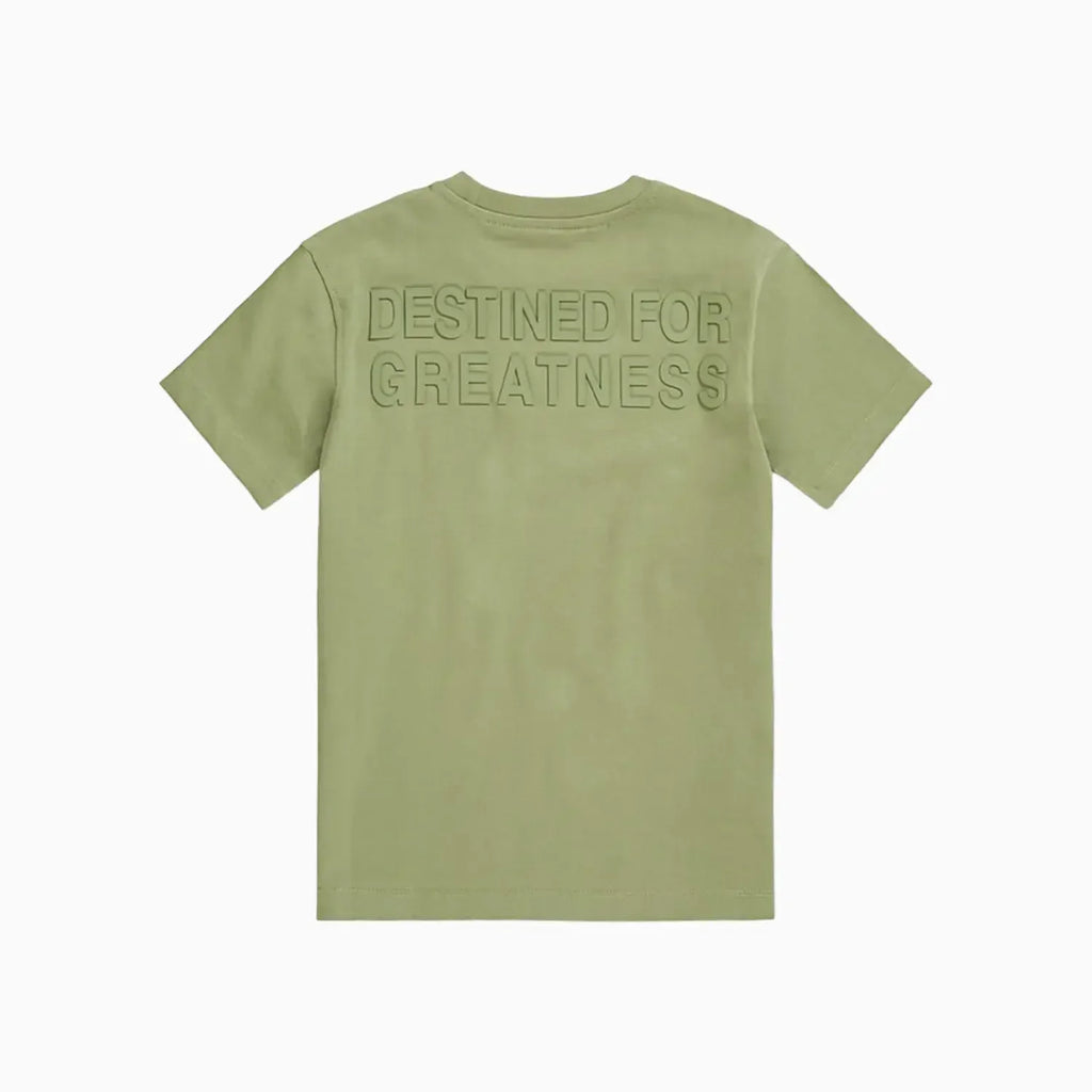 Kid's Destined For Greatness T-Shirt and Shorts Outfit