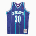 Maillot Swingman Dell Curry Alternate Charlotte Hornets NBA 1994-95