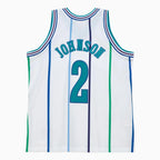 Swingman Larry Johnson Charlotte Hornets NBA 1992 Jersey