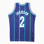 Swingman Larry Johnson Charlotte Hornets NBA 1994-95 Jersey