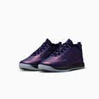 Livre Homme 2 Premium 'Eggplant Foamposite'