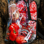 Bear Grills Dlx Clear Backpack