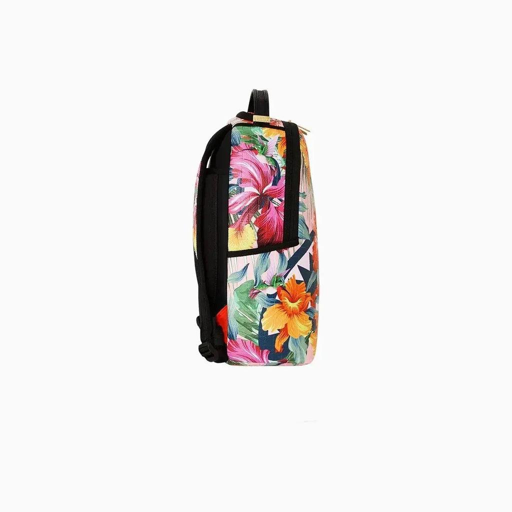 Sac à dos de précision Colibri Requin